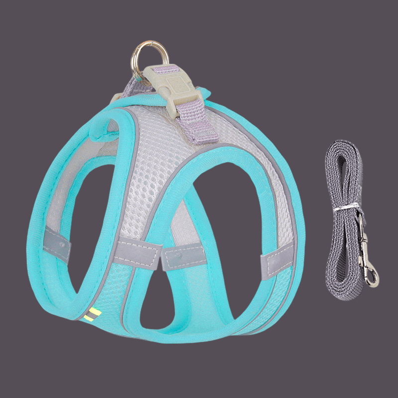 HARNAIS PETIT CHIEN | MINIPAWFIT - Les chiens beaux