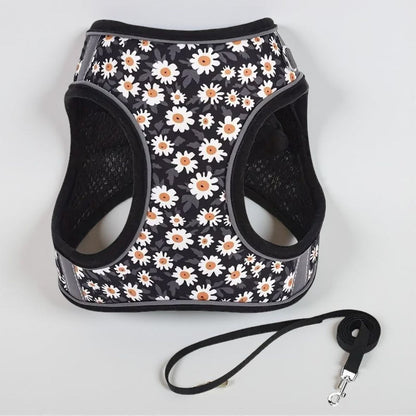 harnais petit chien noir durable