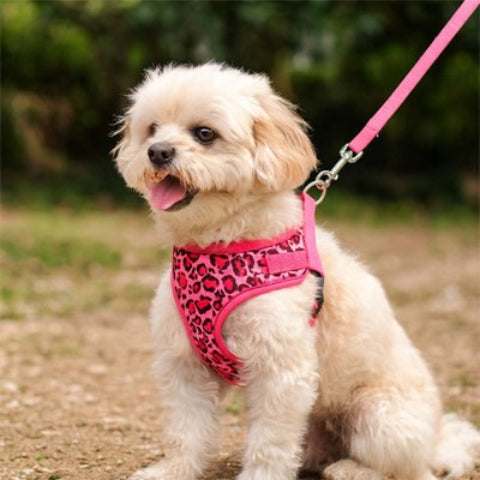 Harnais petit Chien rose tres elegant