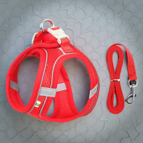 harnais petit chien rouge essentiel