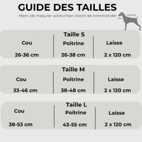 harnais pour chien avec laisse guide des tailles