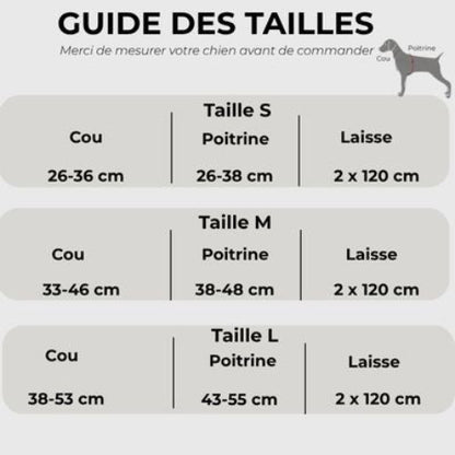 harnais pour chien avec laisse guide des tailles