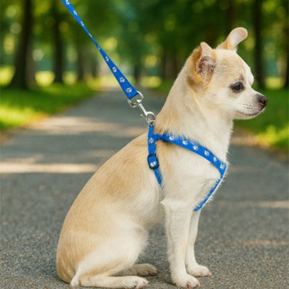 Harnais pour Chien bleu mignon
