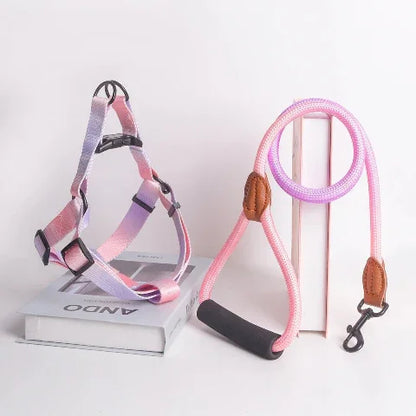 harnais pour chien colore santafe rose violet