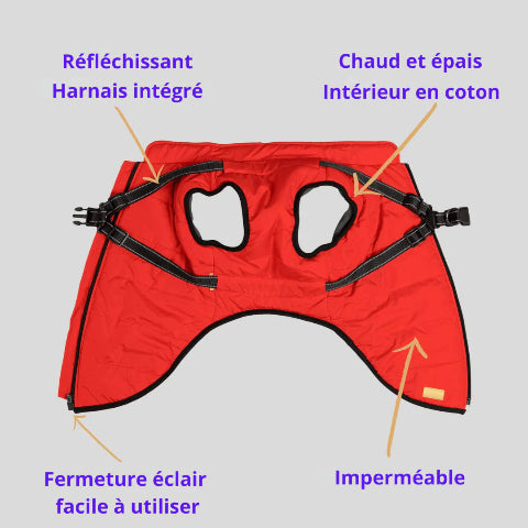 harnais pour chien d hiver display