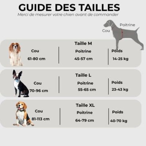 harnais pour chien de service servidog Guide des tailles