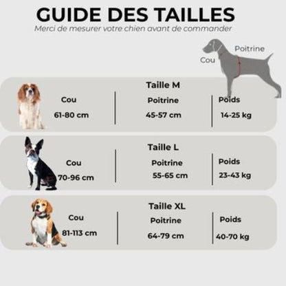 harnais pour chien de service servidog Guide des tailles