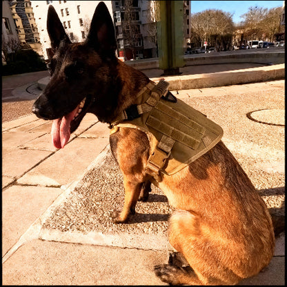 harnais pour chien militaire Tacticontrol kaki tres solide