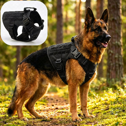 harnais pour chien militaire Tacticontrol noir de haute qualite