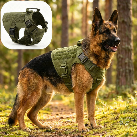 harnais pour chien militaire Tacticontrol vert militaire