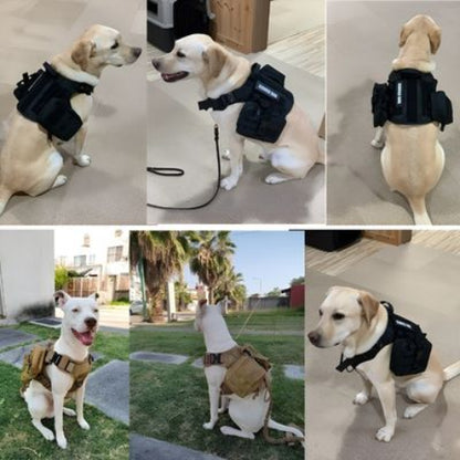 harnais pour chien militaire combo de qualite