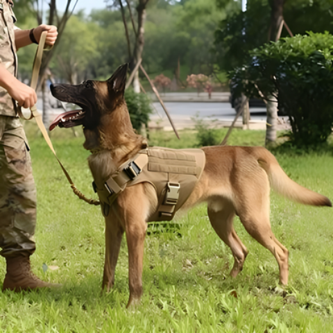 harnais pour chien militaire de tres haute qualite
