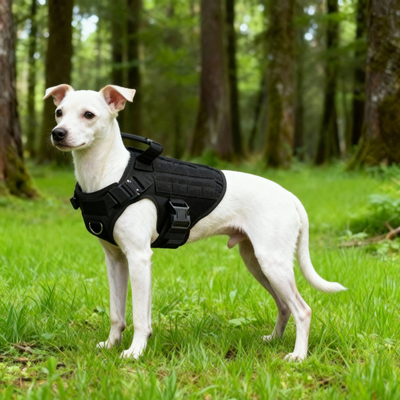 HARNAIS POUR CHIEN MILITAIRE | TACTICONTROL™