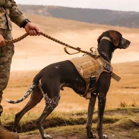 harnais pour chien militaire tacticontrol de qualite