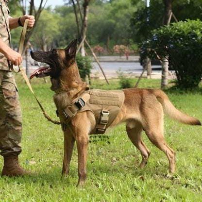harnais pour chien militaire tacticontrol de tres bonne qualite