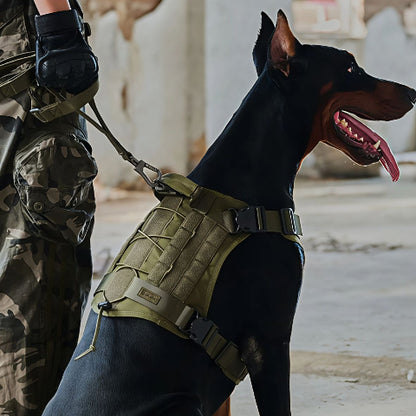 Doberman avec un harnais pour chien militaire tacticontrole vert accrocher à une laisse et un mousqueton avec son maitre habillé en pantalon militaire