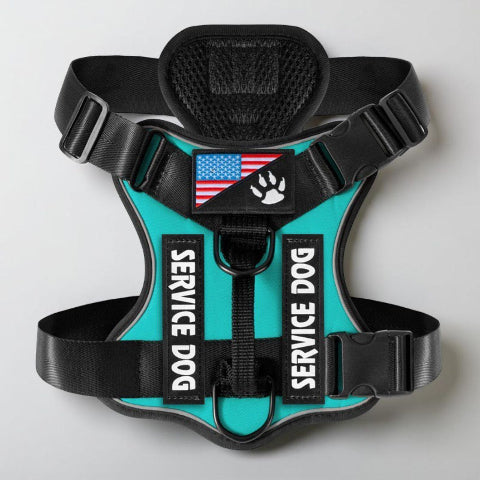 harnais pour chien militaire tactique vert durable