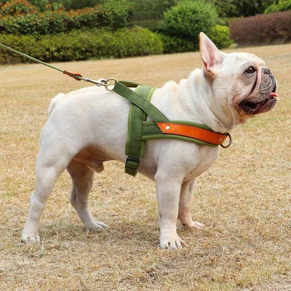 Harnais pour chien | Poitrail en nylon - Les chiens beaux
