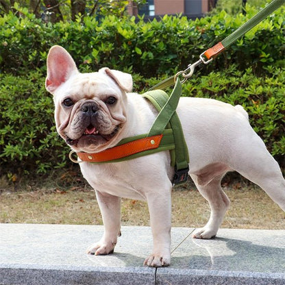 Harnais pour chien | Poitrail en nylon - Les chiens beaux