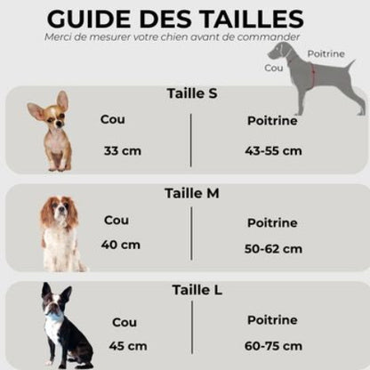 harnais pour chien poitrail en nylon Guide des tailles