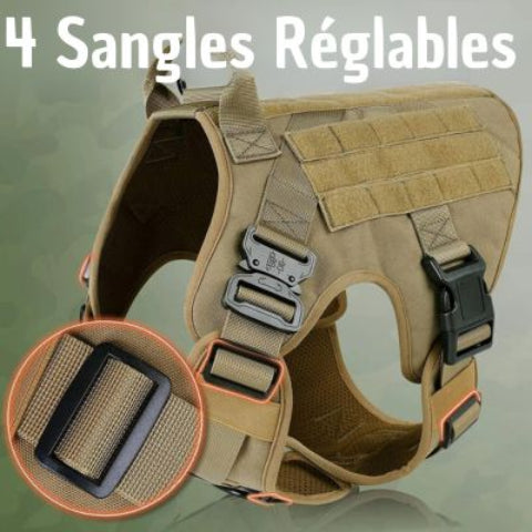 harnais pour chien tacticontrol avec des sangles reglables