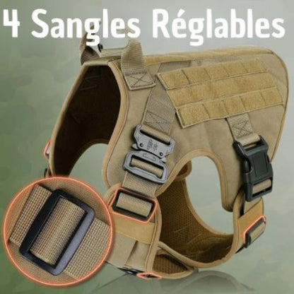harnais pour chien tacticontrol avec des sangles reglables