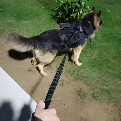 harnais pour chien militaire durable