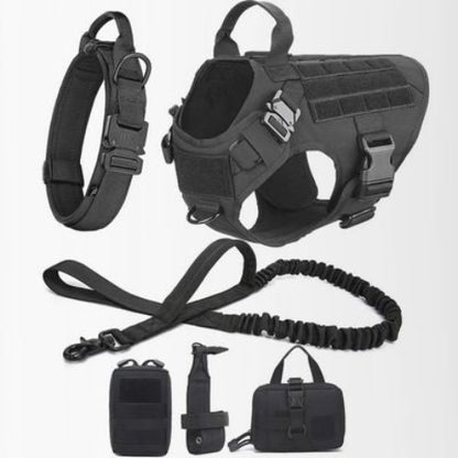 harnais pour chien militaire noir indispensable