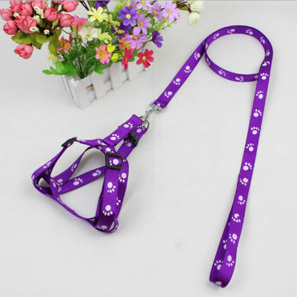 harnais pour chien violet