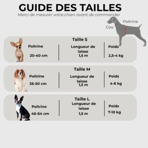 harnais pour petit chien Guide des tailles