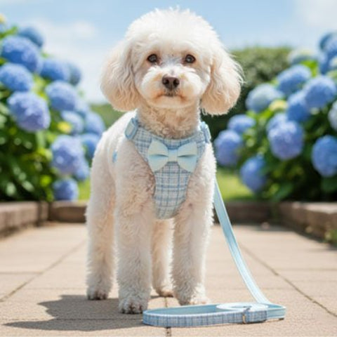 Harnais pour petit Chien bleu excellent