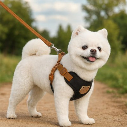 Harnais pour petit Chien noir elegant