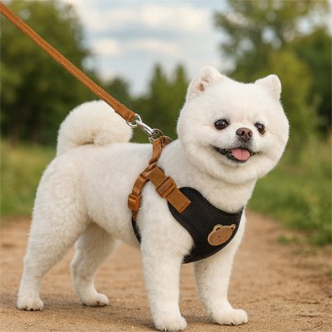 Harnais pour petit Chien noir elegant