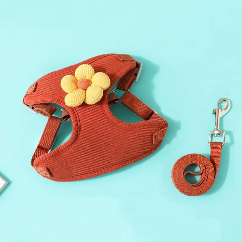 harnais pour petit chien rouge bonne qualite