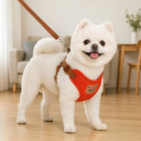 Harnais pour petit Chien rouge elegant