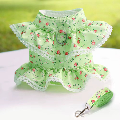 harnais pour petit chien vert mignon