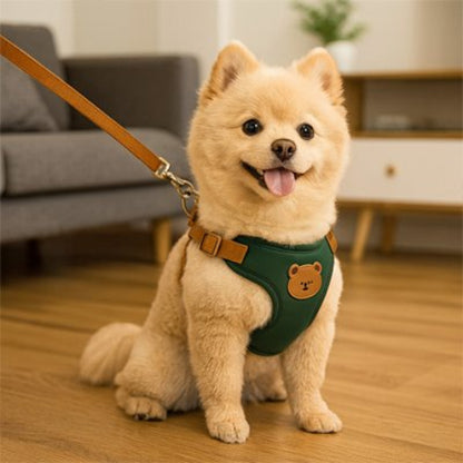Harnais pour petit Chien vert nature