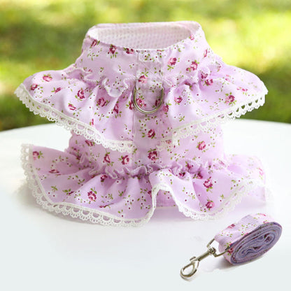 harnais pour petit chien violet tres elegant