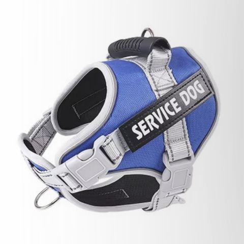 harnais servidog bleu