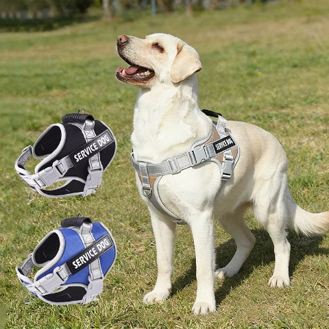 harnais servidog confortable