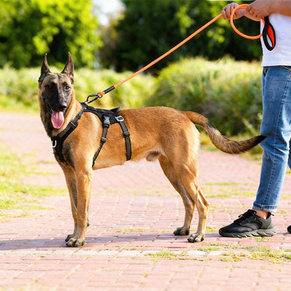 harnais servidog ideal pour les promenades