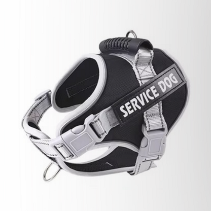 harnais servidog noir