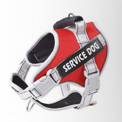 harnais servidog rouge