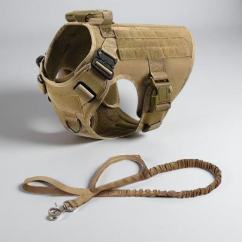 harnais tacticontrol et laisse