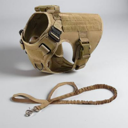 harnais tacticontrol et laisse