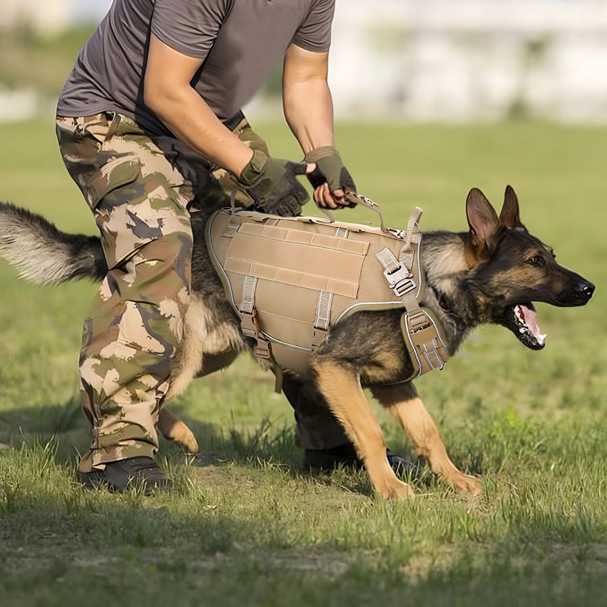 harnais tactique chien k9 pro avec conception ajustable