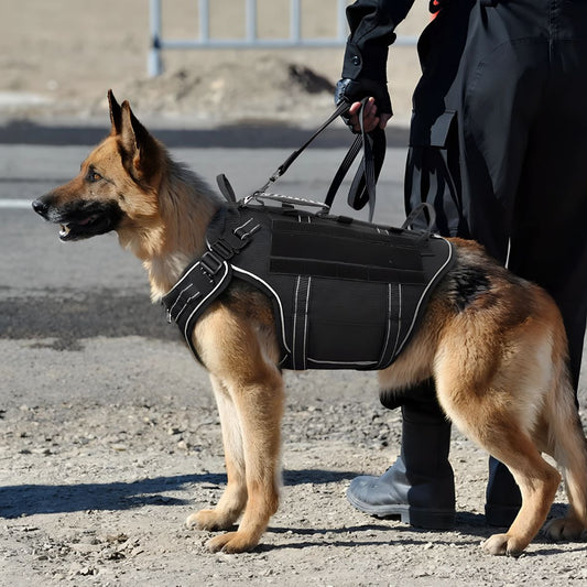 harnais tactique chien k9 pro avec un systeme d'attache qui offre le controle
