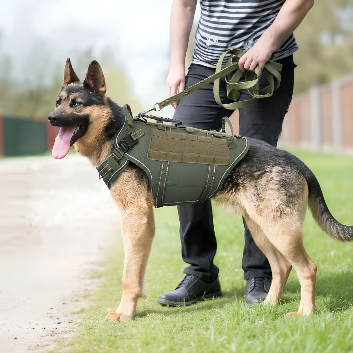 harnais tactique chien k9 robuste pour vos aventures