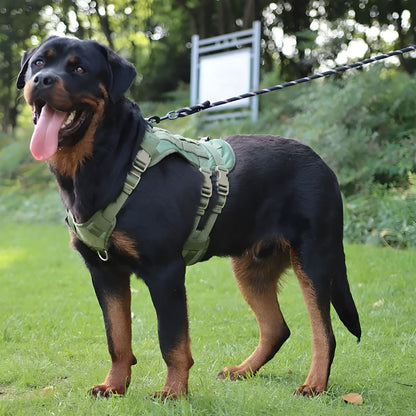 harnais tactique chien ultra resistant