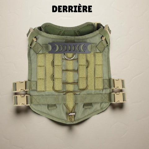 harnais tactique chien vert indispensable
